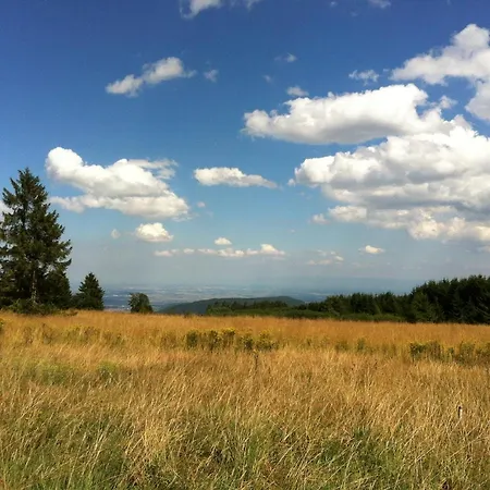 شقة Les De La Serva - Champ Du Feu - Montagnes- Vosges